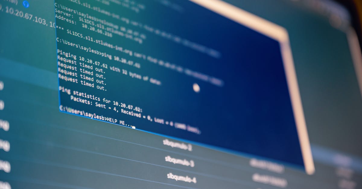 SQL & Database Querying